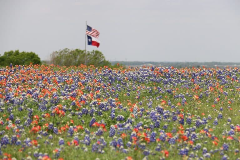 Field With Us Flag - Texas Opioid Overdose Rates During The Pandemic